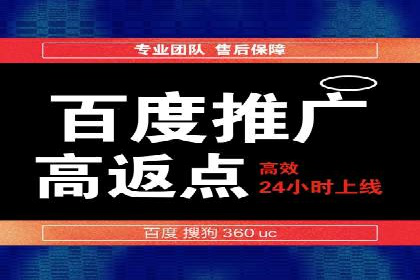 竞价推广实战：成功案例背后的技巧揭秘